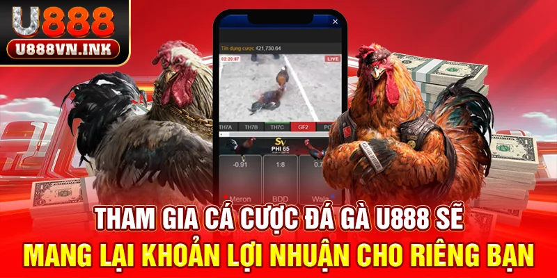 Tận Hưởng Đá Gà U888 - Sôi Động, Chất Lượng Và Đầy Hấp Dẫn Tham gia cá cược đá gà u888 sẽ mang lại khoản lợi nhuận cho riêng bạn